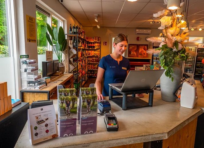 Unterkunft 2809104 - Ferienhaus Rivierengebied - Vakantiehuis Tiny House 4