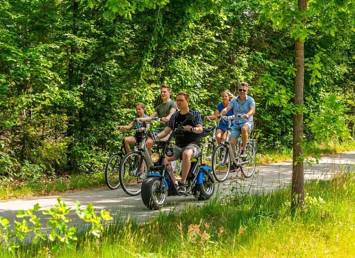 Unterkunft 2809106 - Ferienhaus Rivierengebied - Vakantiehuis Unique Nouveau 4