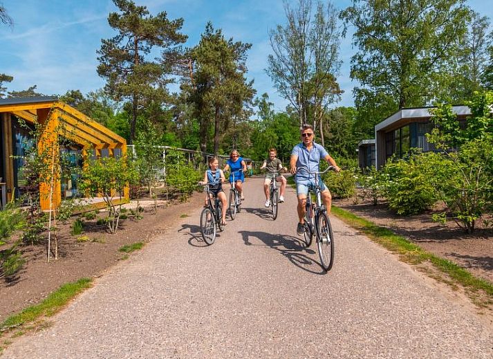 Unterkunft 2809106 - Ferienhaus Rivierengebied - Vakantiehuis Unique Nouveau 4