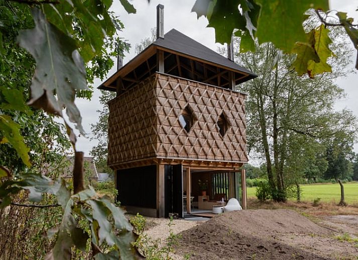 Detail des Reetdachs in einem Ferienhaus in Arnheim, Gelderland.
