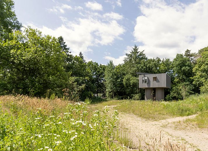 Einzigartiges Design eines Ferienhauses in Arnheim in der Natur von Gelderland, Rivierengebied.