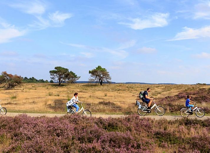 Gemuetliches Wohnzimmer mit farbenfroher Einrichtung im Ferienhaus in Arnheim, Gelderland.