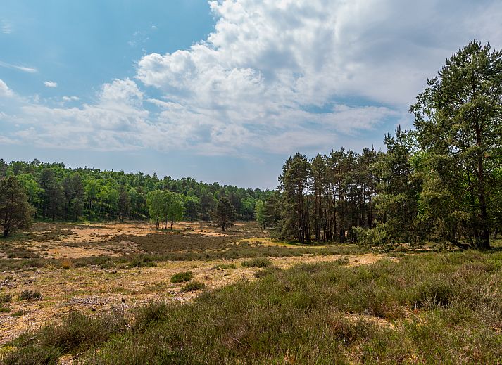 Unterkunft 280934 - Ferienhaus Rivierengebied - EuroParcs De Hooge Veluwe