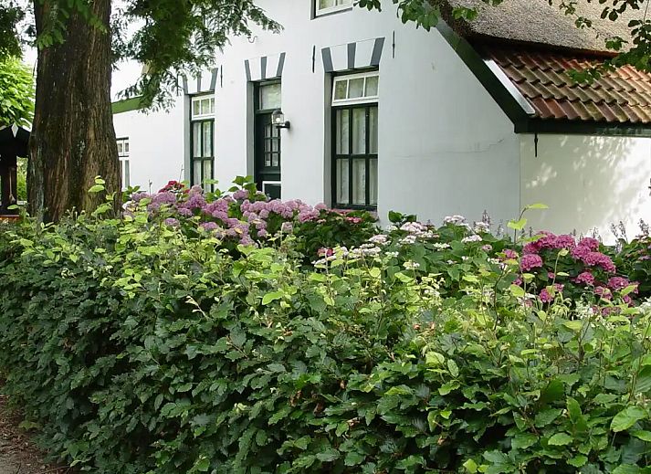Verblijf 280942 - Appartement Rivierengebied - Goltackers voormalig keuterboerderij