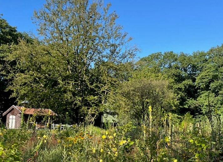 Unterkunft 280996 - Ferienhaus Rivierengebied - Vakantiehuis in Arnhem