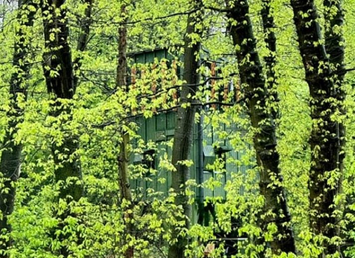 Unterkunft 280996 - Ferienhaus Rivierengebied - Vakantiehuis in Arnhem