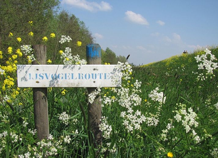 Guest house 281001 - Bed and Breakfast Rivierengebied - De Ruif