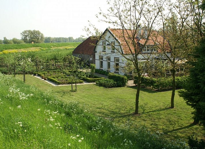 Guest house 281202 • Bed and Breakfast Rivierengebied • De Appelgaard