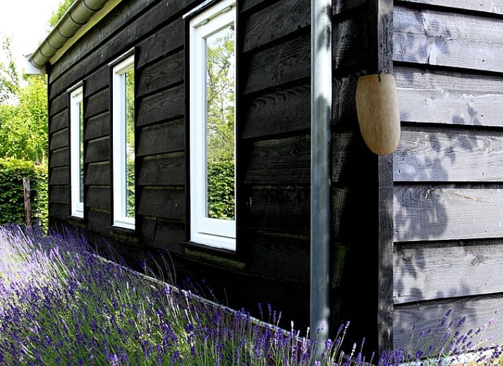 Ferienhaus in Culemborg, Gelderland mit charmanter Holzfassade und gruener Hecke im Rivierengebied.