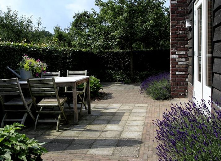 Seitenansicht des Ferienhauses in Culemborg, umgeben von Lavendel und Gruen, im schoenen Rivierengebied.