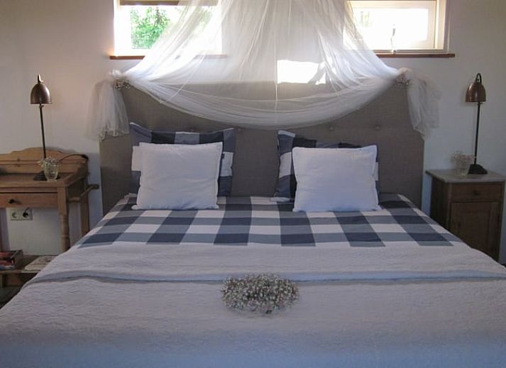 Obstgarten mit Kletterausruestung im Ferienhaus in Culemborg, ideal fuer Naturliebhaber in Gelderland.