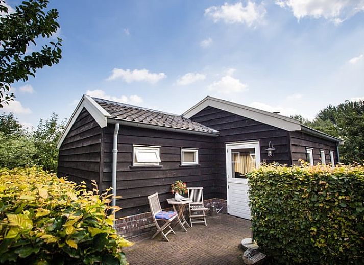 Obstgarten mit Kletterausruestung im Ferienhaus in Culemborg, ideal fuer Naturliebhaber in Gelderland.