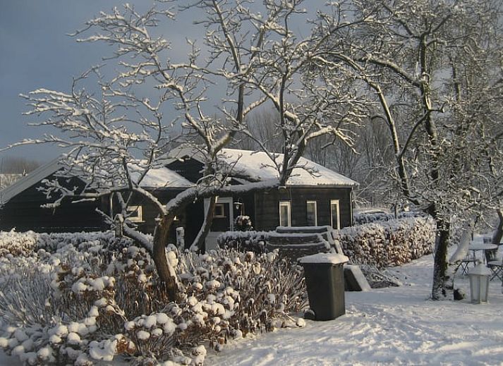 Fruehlingsansicht des Ferienhauses in Culemborg, umgeben von bluehenden Baeumen im gruenen Rivierengebied.