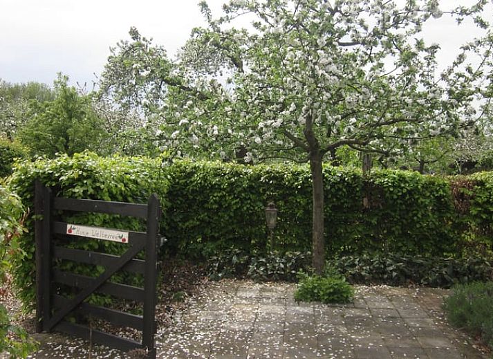 Fruehlingsansicht des Ferienhauses in Culemborg, umgeben von bluehenden Baeumen im gruenen Rivierengebied.