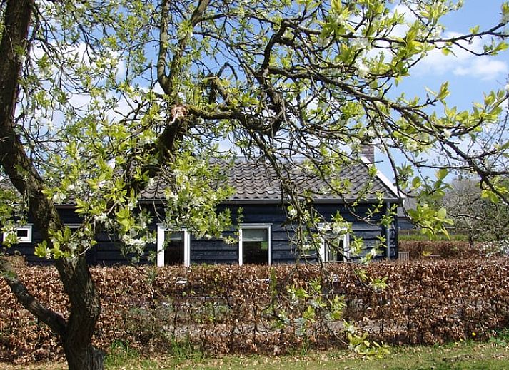 Verblijf 281206 • Vakantiewoning Rivierengebied • Natuurhuisje in Culemborg