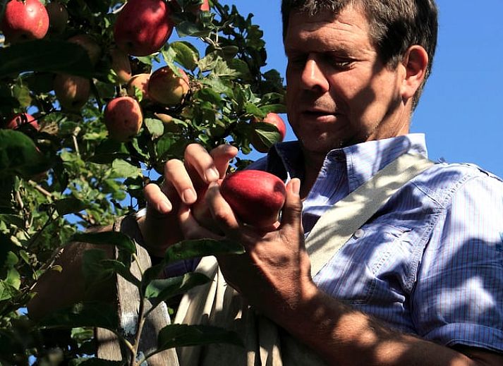 Unterkunft 281208 - Ferienhaus Rivierengebied - Vakantiehuis in Culemborg