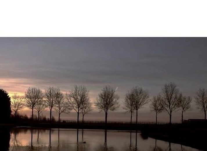 Verblijf 282302 - Vakantiewoning Rivierengebied - Vakantiehuis in Buurmalsen