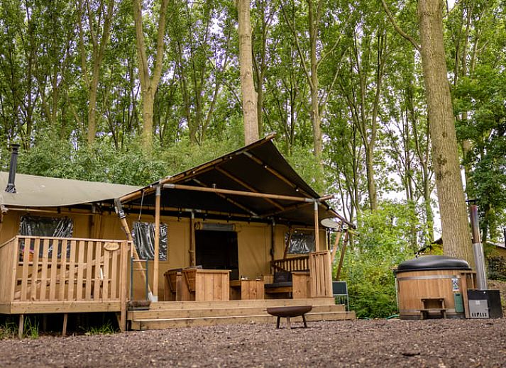 Guest house 282703 • Holiday property Rivierengebied • Vakantiehuisje in Altforst 