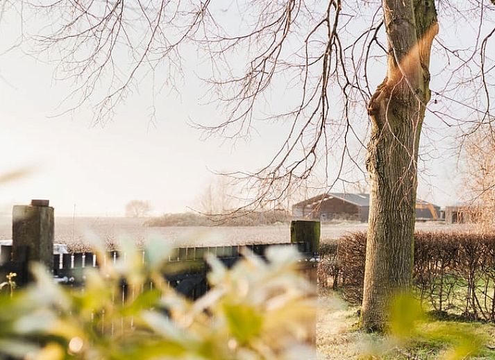 Guest house 282705 - Bed and Breakfast Rivierengebied - Vakantiehuis in Altforst