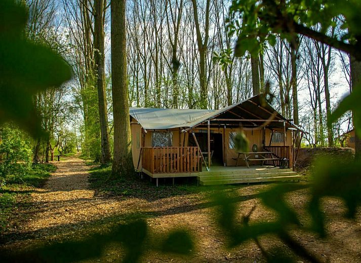 Unterkunft 282710 - Zelthaus Rivierengebied - GLAMPHUYS