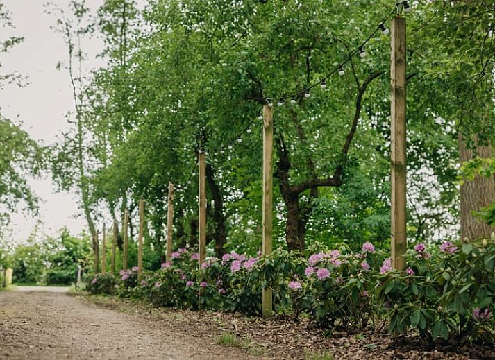 Verblijf 282715 - Vakantiewoning Rivierengebied - Vakantiehuis in Altforst