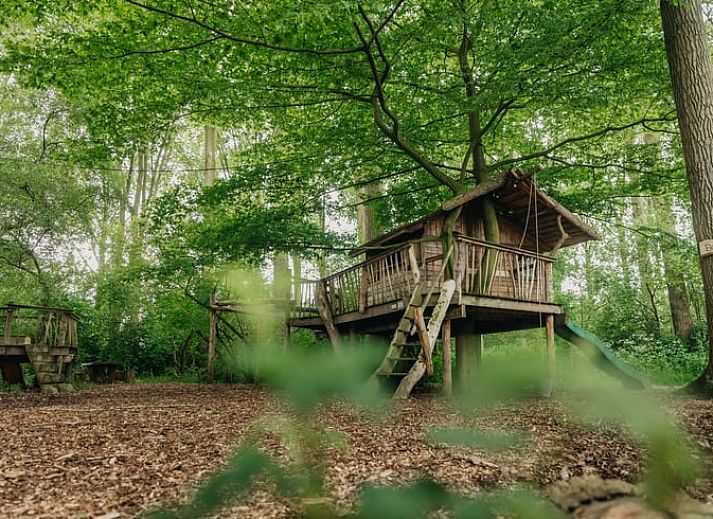 Verblijf 282715 - Vakantiewoning Rivierengebied - Vakantiehuis in Altforst