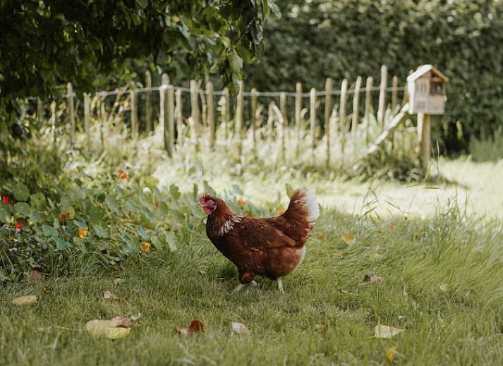 Relax in the luxurious bath of Holiday Home in Altforst, located in the serene River Region of Gelderland.