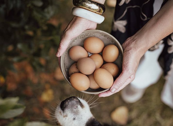 Relax in the luxurious bath of Holiday Home in Altforst, located in the serene River Region of Gelderland.