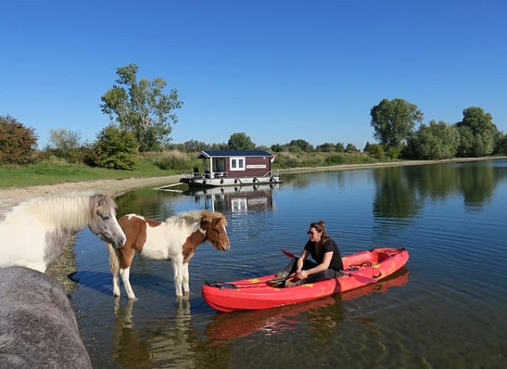 Verblijf 283105 - Vakantiewoning Rivierengebied - Vakantiehuis in Heerewaarden, De Bommelerwaard (*Bekijk ook