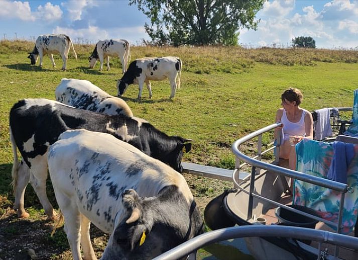 Verblijf 283105 - Vakantiewoning Rivierengebied - Vakantiehuis in Heerewaarden, De Bommelerwaard (*Bekijk ook
