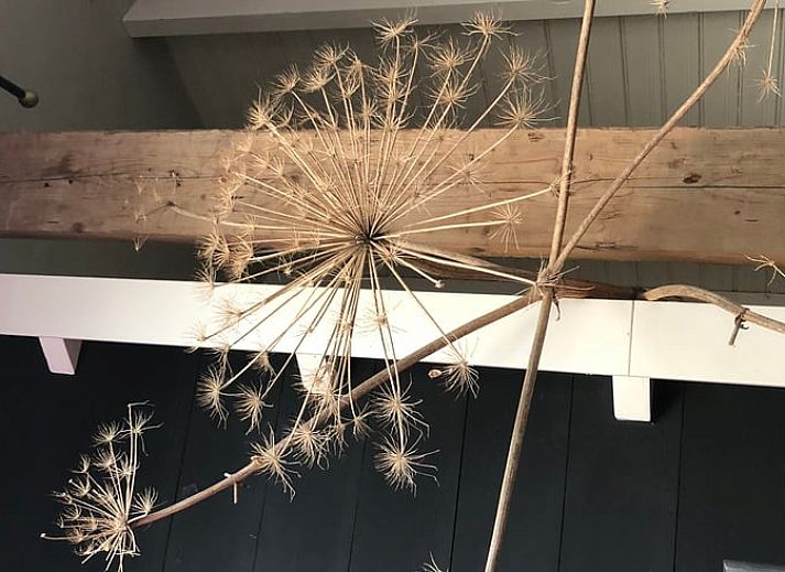 Cottage in Buren, modern kitchen with crockery in Riverside, Gelderland.