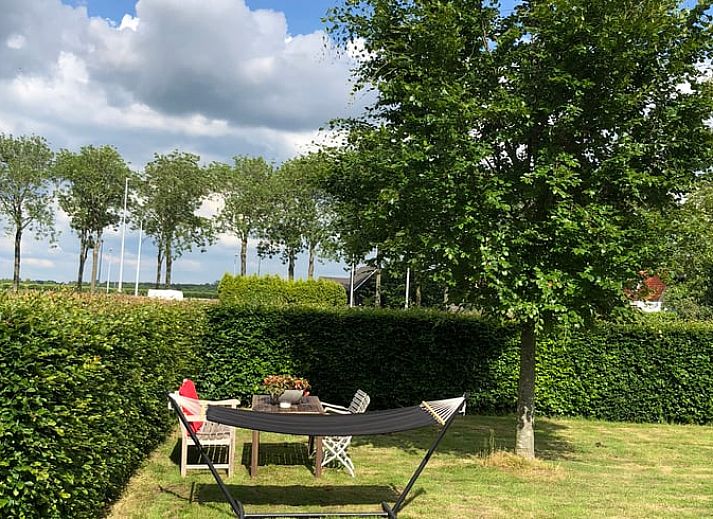 Cottage in Buren, cozy bathroom with decorations in Riverside, Gelderland.