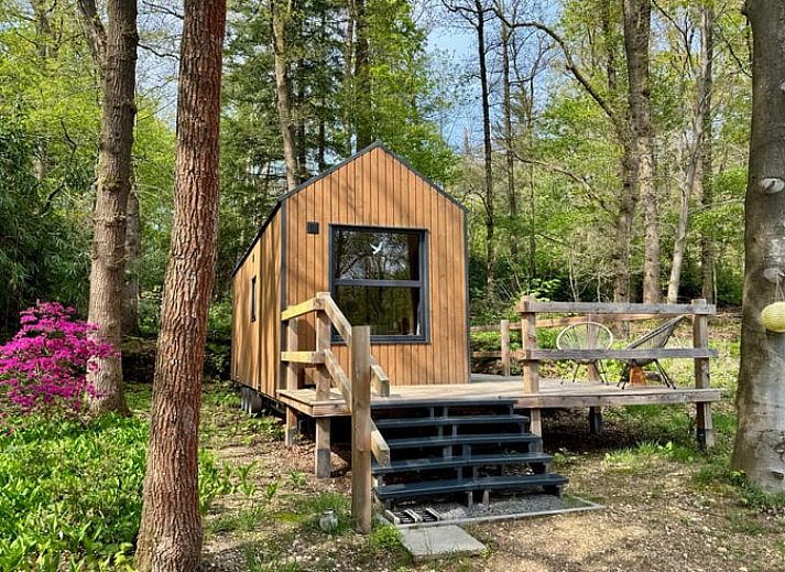 Unterkunft 284301 - Ferienhaus Rivierengebied - Vakantiehuis in Heilig Landstichting