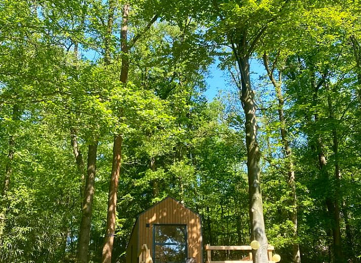 Unterkunft 284301 - Ferienhaus Rivierengebied - Vakantiehuis in Heilig Landstichting