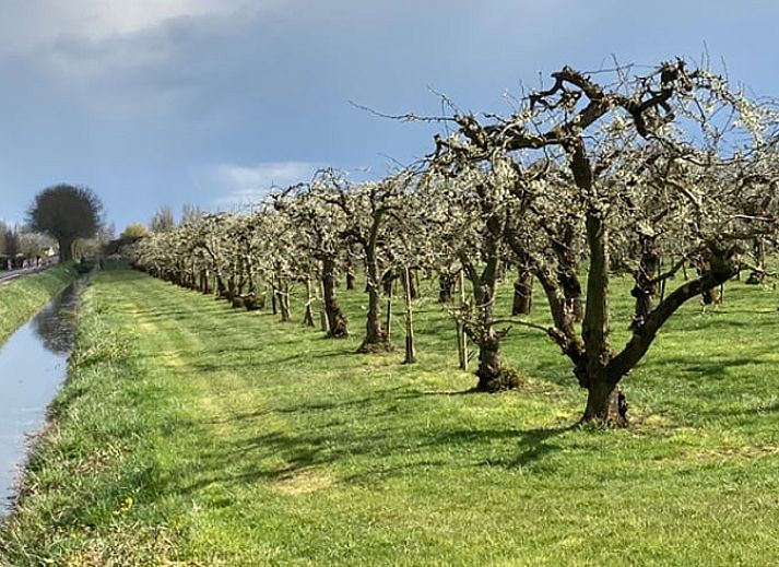 Unterkunft 284503 - Ferienhaus Rivierengebied - Vakantiehuisje in Ommeren