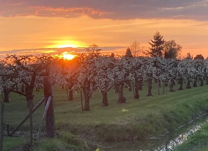 Unterkunft 284503 - Ferienhaus Rivierengebied - Vakantiehuisje in Ommeren