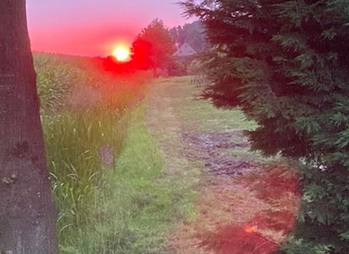 Unterkunft 284503 - Ferienhaus Rivierengebied - Vakantiehuisje in Ommeren