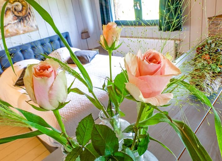 Guest house 284706 - Holiday property Rivierengebied - Huisje in Zoelen
