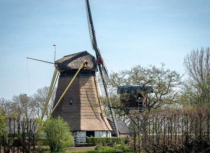 Unterkunft 285002 - Ferienhaus Rivierengebied - Vakantiehuis in Deil