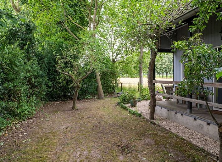 Unterkunft 285004 - Ferienhaus Rivierengebied - Vakantiehuis in Deil