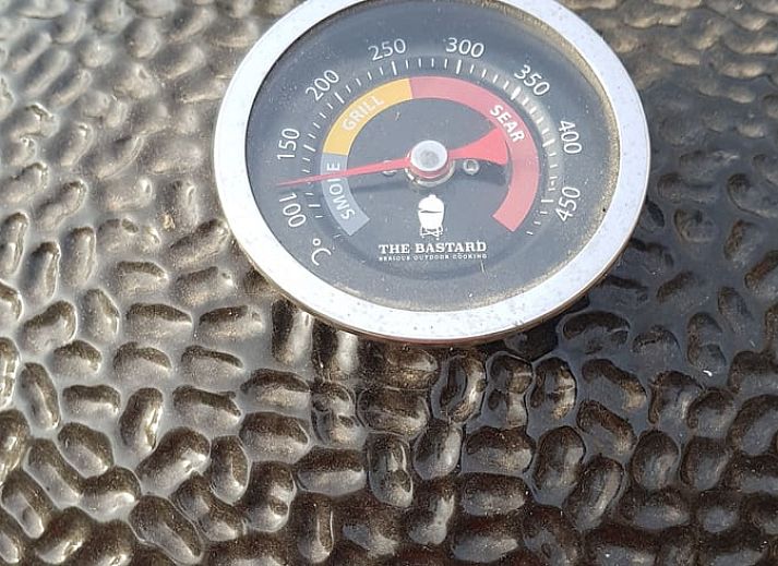 Unterkunft 285502 - Ferienhaus Rivierengebied - Vakantiehuisje in Winssen