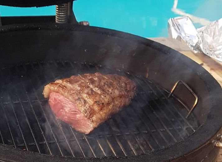 Unterkunft 285502 - Ferienhaus Rivierengebied - Vakantiehuisje in Winssen