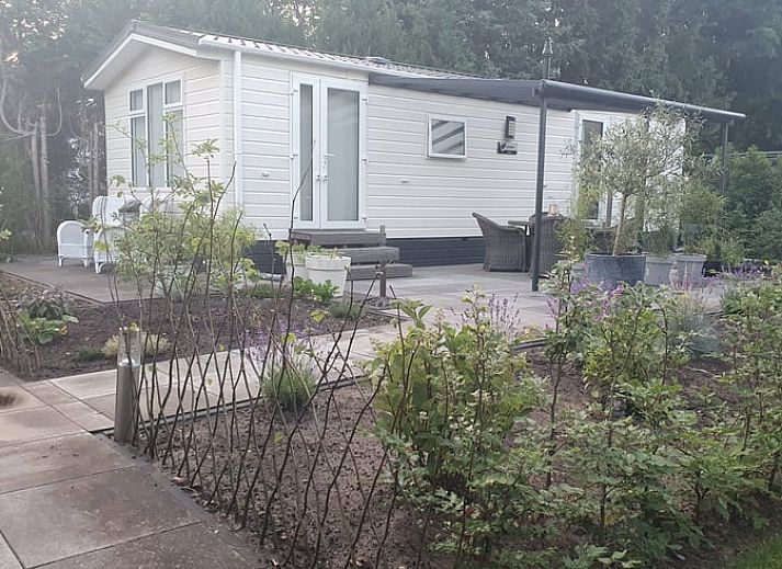 Guest house 286008 - Holiday property Rivierengebied - Vakantiehuis in Wolfheze