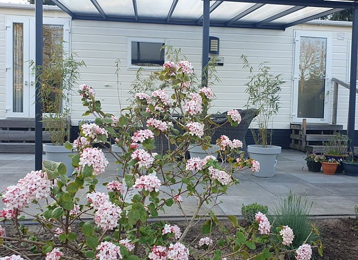 Guest house 286008 - Holiday property Rivierengebied - Vakantiehuis in Wolfheze