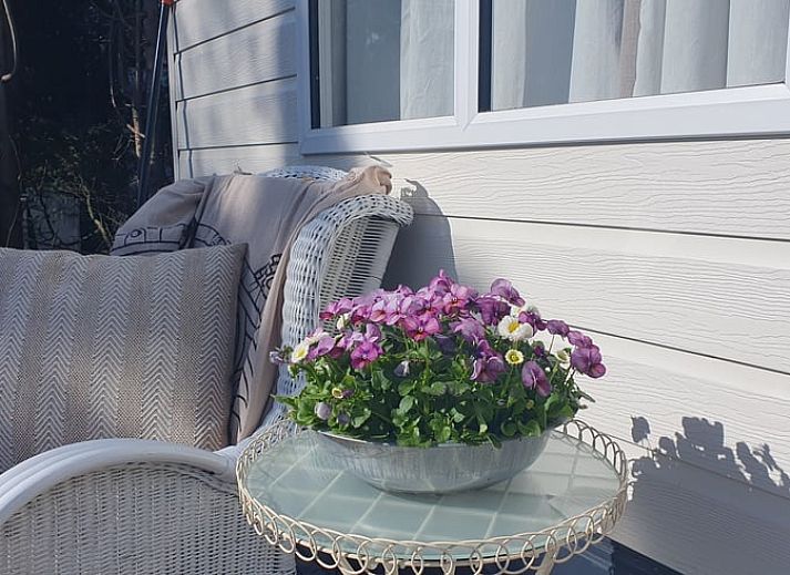 Guest house 286008 - Holiday property Rivierengebied - Vakantiehuis in Wolfheze