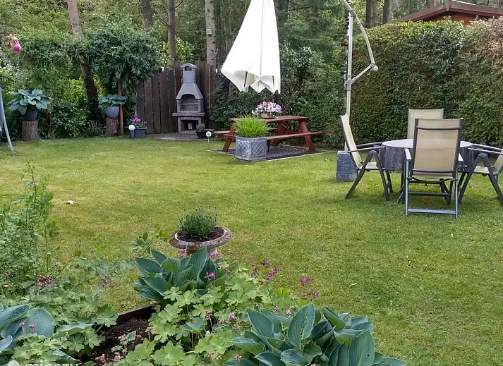 Verblijf 286013 - Chalet Rivierengebied - Wolfheze Chalet Wyandotte I bosrand