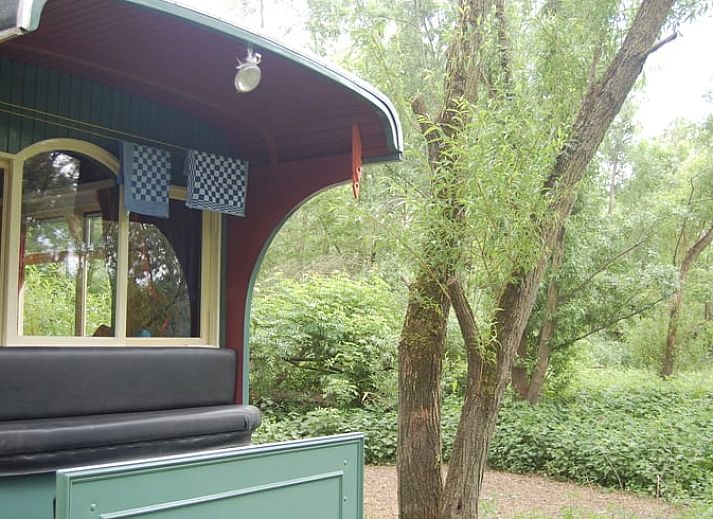Verblijf 286404 - Vakantiewoning Rivierengebied - Vakantiehuisje in Dreumel