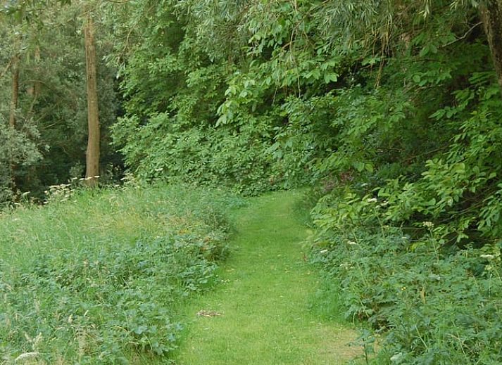 Verblijf 286404 - Vakantiewoning Rivierengebied - Vakantiehuisje in Dreumel