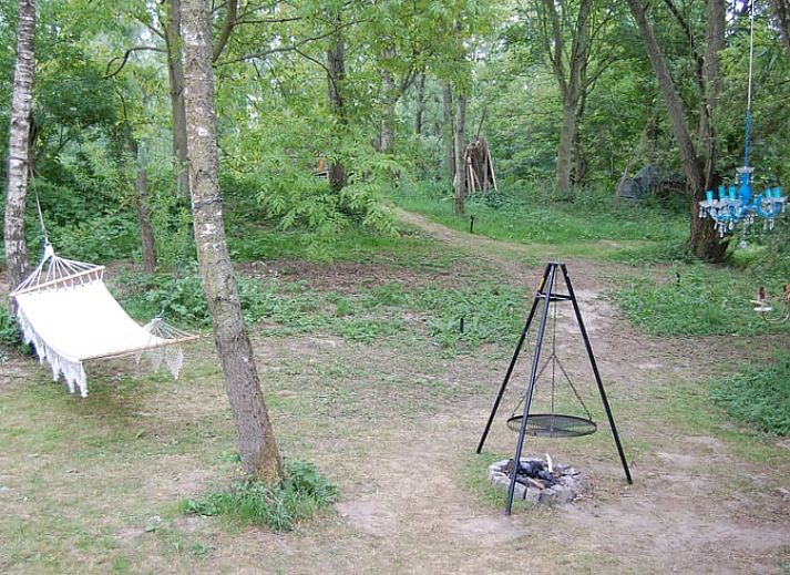 Verblijf 286404 - Vakantiewoning Rivierengebied - Vakantiehuisje in Dreumel