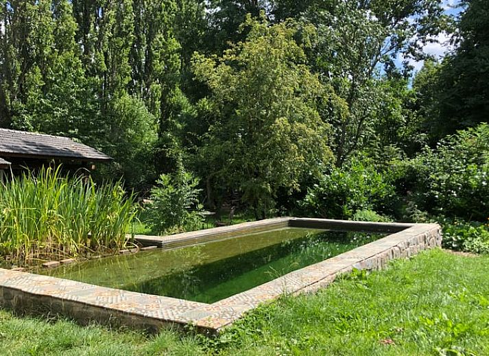 Guest house 286408 - Holiday property Rivierengebied - Huisje in Dreumel